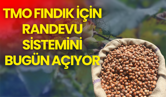 TMO Fındık İçin Randevu Sistemini Bugün Açıyor