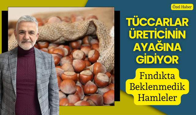 Tüccarlar Üreticinin Ayağına Gidiyor: Fındıkta Beklenmedik Hamleler