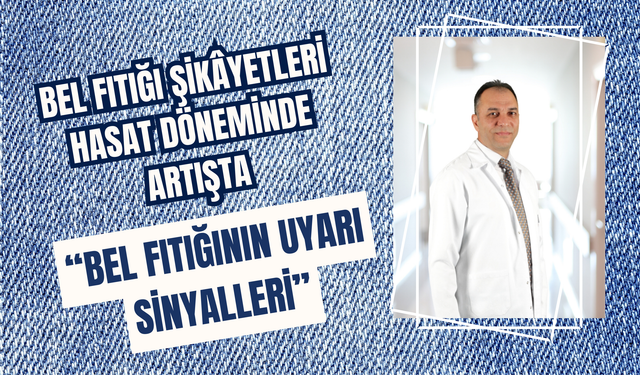 Bel Fıtığı Şikâyetleri Hasat Döneminde Artışta