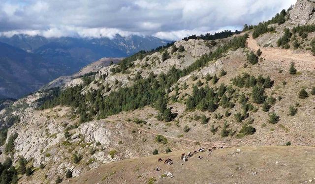 Gümüşhane’de genç muhtarın Türkiye’ye ilham veren başarı hikayesi