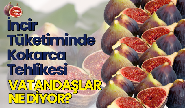 İncir Tüketiminde Kokarca Tehlikesi: Vatandaşlar Ne Diyor?