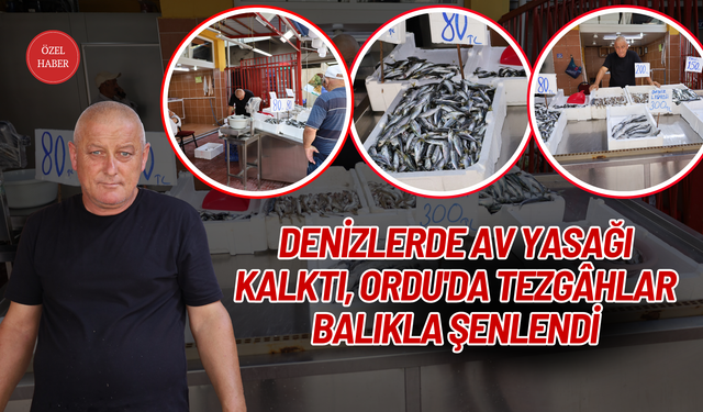 Ordu'da Tezgâhlar Balıkla Şenlendi