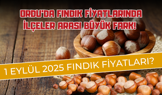Ordu’da Fındık Fiyatlarında İlçeler Arası Büyük Fark! 1 Eylül 2025 Fındık Fiyatları?