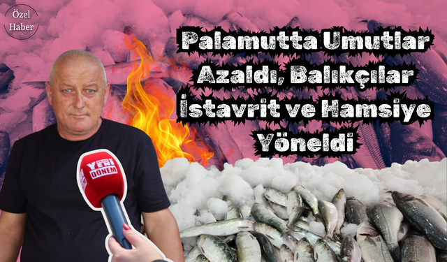 Palamutta Umutlar Azaldı, Balıkçılar İstavrit ve Hamsiye Yöneldi