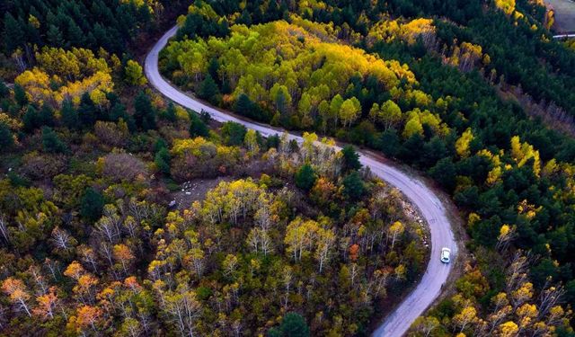 Gümüşhane’nin Alpleri aratmayan sonbahar güzelliği