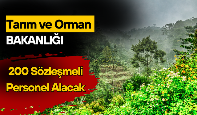 Tarım ve Orman Bakanlığı 200 Sözleşmeli Personel Alacak