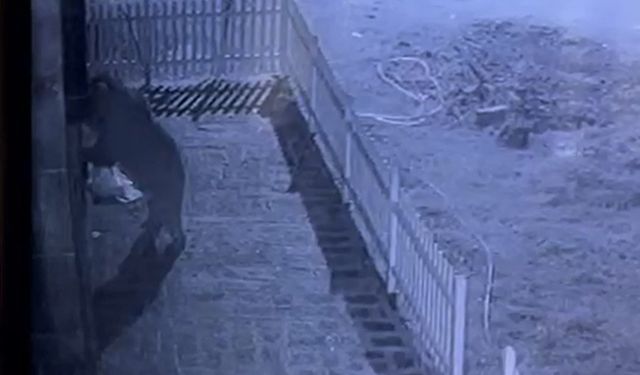 Kapıyı hırsız zorluyor sandı, gerçek güvenlik kamerası ile ortaya çıktı