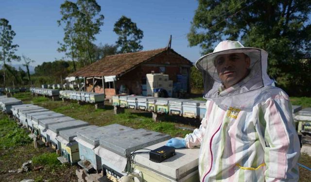 Komiser arıcıdan bal verimini artıran yerli cihaz