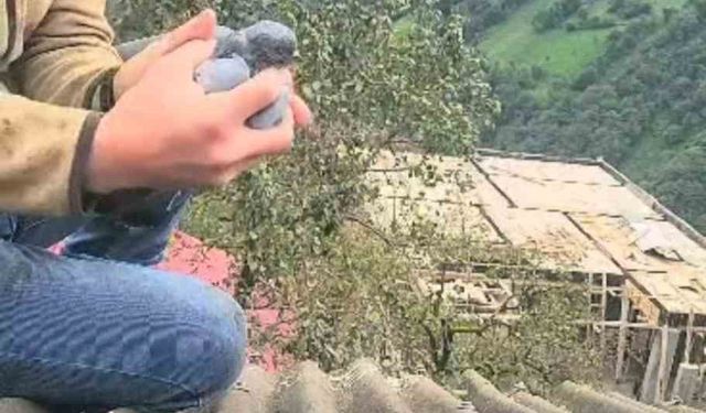 Köy sakininin dikkati ve duyarlılığı bir güvercini hayata bağladı