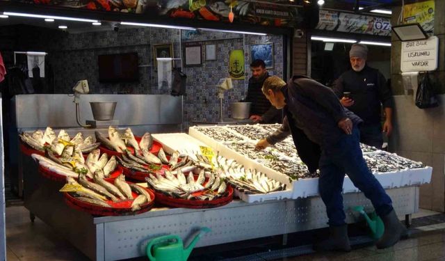 Palamut sezonu başlamadan bitti, umutlar seneye kaldı