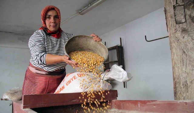 Zamana direnen çarklar