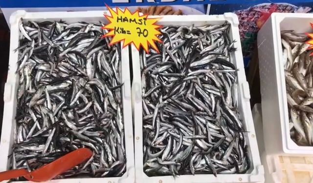 Akçakoca’dan balık tüketicilerine uyarı: "Buzhane balığına dikkat"