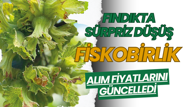 Fındıkta Sürpriz Düşüş: Fiskobirlik Alım Fiyatlarını Güncelledi
