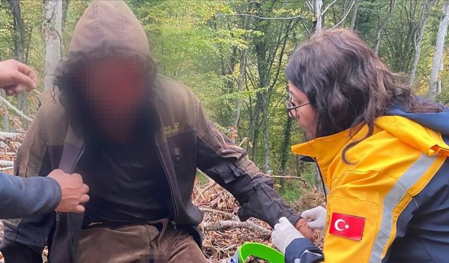 Ayının saldırısına uğrayan vatandaş için ekipler seferber oldu