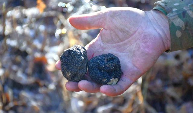 Bayburt ‘Kara Elmas’ ile tanışacak