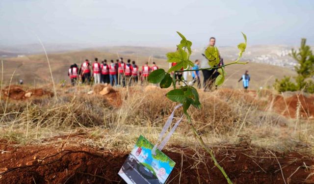 Bayburt’ta 97 bin 620 fidan toprakla buluşturuldu