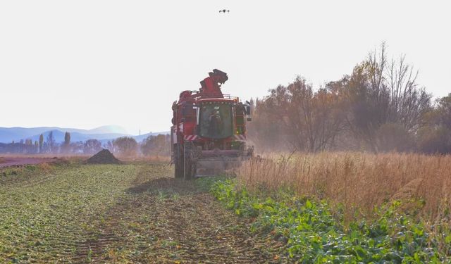 Bayburt’un Çiftetaş köyünde şeker pancarı hasadına başlandı