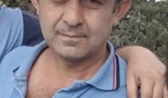 Bolu’da ağacın altında kalan vatandaş hayatını kaybetti