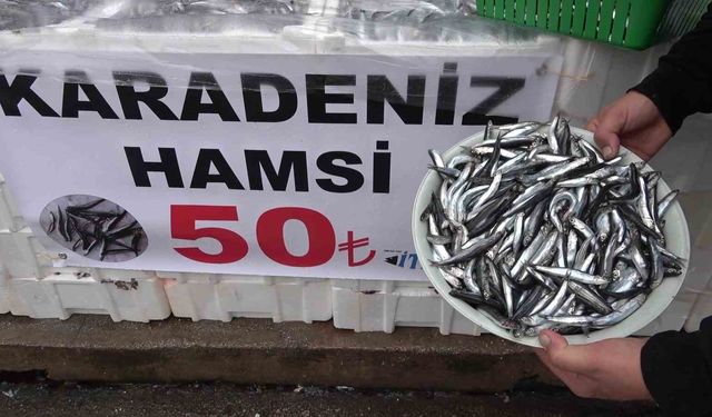 Denize kıyısı olmayan şehirde hamsinin kilosu 50 TL’ye düştü, vatandaş poşet poşet aldı