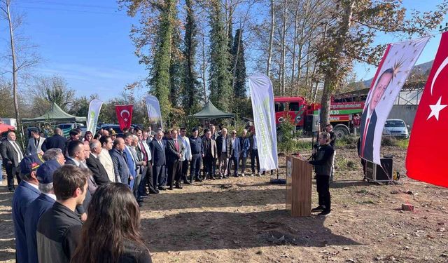 Devrek’te fidan dikim programı