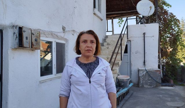 Evin çatısına yuva yapan eşek arıları hastanelik etti