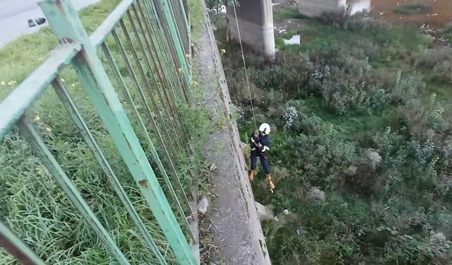 Filyos Çayı’na düşen yavru kedi kurtarıldı