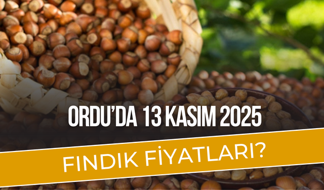 Ordu’da 13 Kasım 2025 Fındık fiyatları?