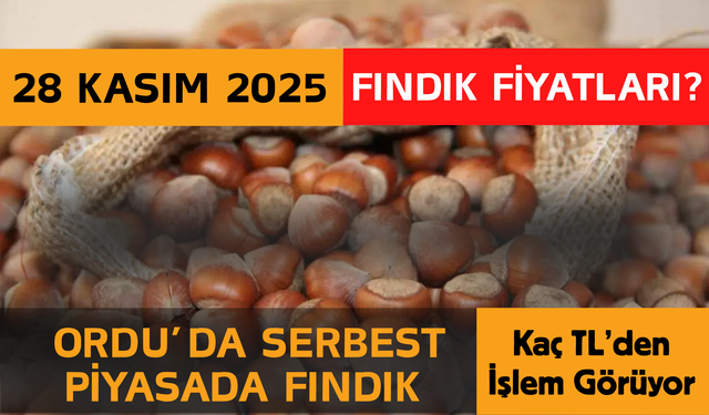 Ordu’da Serbest Piyasada Fındık Kaç TL’den İşlem Görüyor