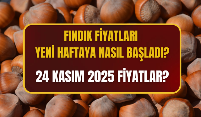 Fındık Fiyatları Yeni Haftaya Nasıl Başladı?