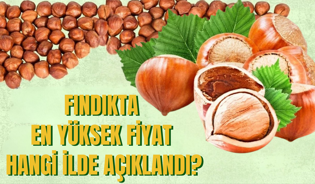 Fındıkta En Yüksek Fiyat Hangi İlde Açıklandı?