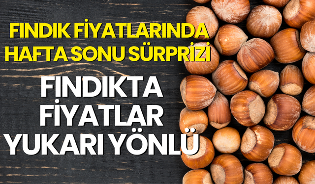 Fındık Fiyatlarında Hafta Sonu Sürprizi