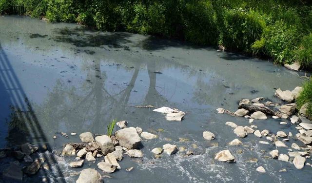 Gerede’de fabrikaların zehrini kustuğu derenin yeniden davası görülecek