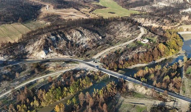Karabük’te yanan ağaçlarla sonbahar renkleri aynı kadrajda görüntülendi