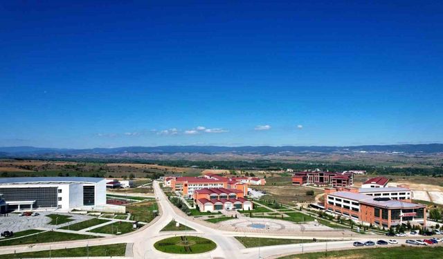 Kastamonu Üniversitesi, kenelerle bulaşan hastalığı araştıracak