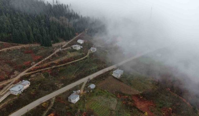 Kastamonu’da Yaralıgöz geçidinde sis nedeniyle görüş mesafesi düştü