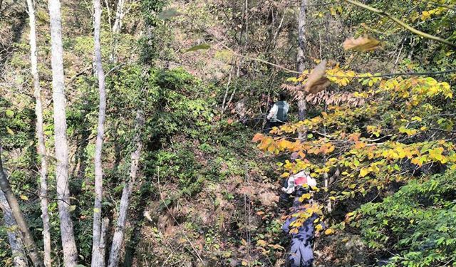 Kayıp annenin cesedini kuzgunu takip eden vatandaşlar bulmuş