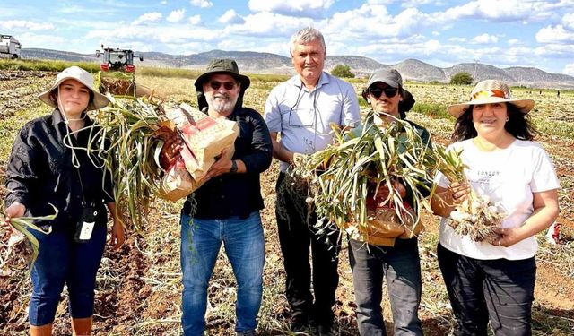 KBÜ, sarımsakta Fusarium hastalıklarına karşı bilimsel çözüm geliştirdi