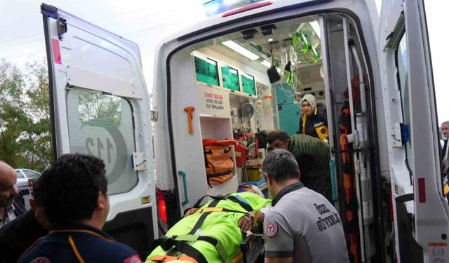 Mantar toplarken ayının saldırısına uğrayan imam yaralandı