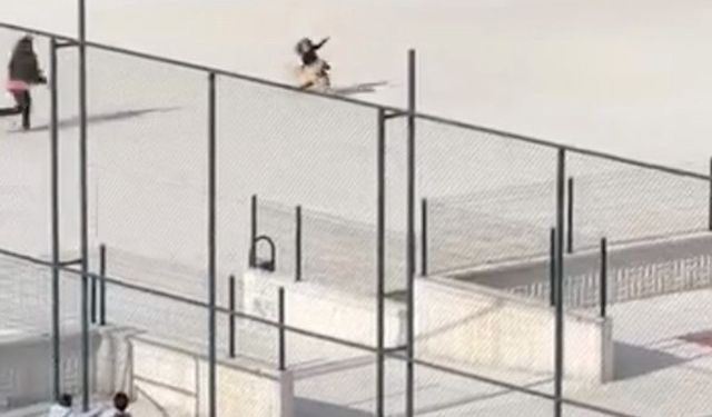 Okul bahçesine giren köpek çocuklara büyük panik yaşattı: O anlar kameraya yansıdı