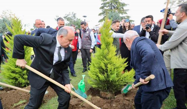 Ordu’da 350 bin fidan toprakla buluşturulacak