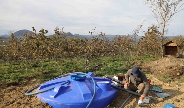 Ordu’da fındık bahçelerine kuraklık tehlikesine karşı damlama sistemi