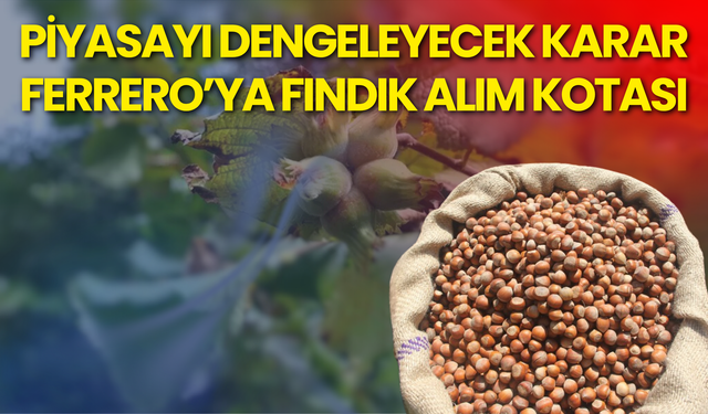 Piyasayı Dengeleyecek Karar: Ferrero’ya Fındık Alım Kotası
