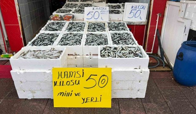 Rize’de hamsinin fiyatı sevenlerinin yüzünü güldürüyor