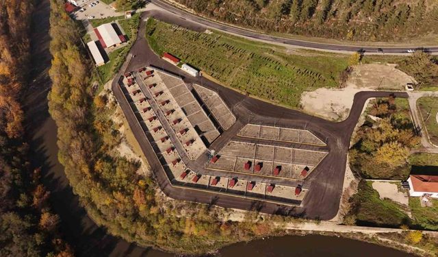 Sahipsiz Hayvan Bakımevi ve Rehabilitasyon Merkezi’nde kış hazırlıkları tamamlandı