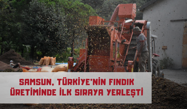 Samsun, Türkiye’nin Fındık Üretiminde İlk Sıraya Yerleşti