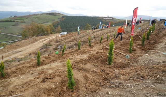Samsun’da 11 Kasım Milli Ağaçlandırma Günü’nde 37 bin 380 fidan toprakla buluşacak