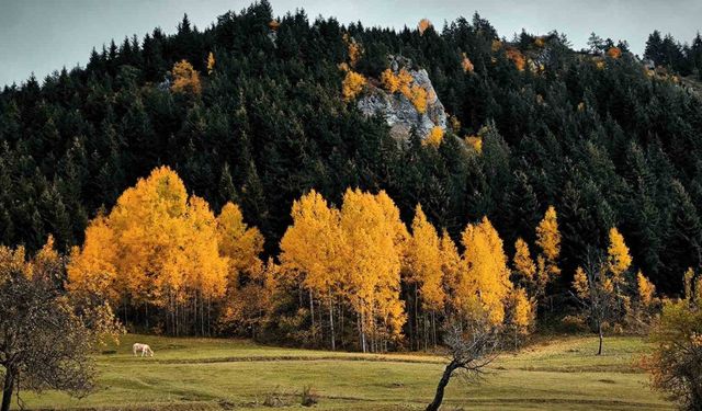 Şavşat’tan kartpostallık manzaralar