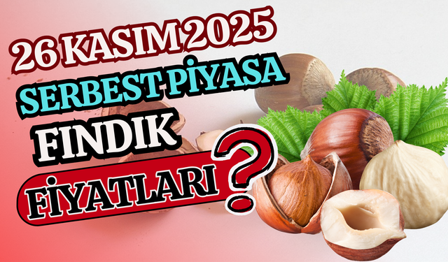 26 Kasım 2025 Serbest Piyasa Fındık Fiyatları?
