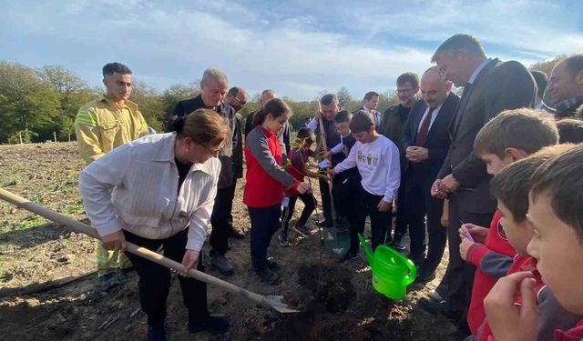 Sinop’ta 3 bin 860 fidan toprakla buluştu