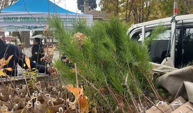 Sinop’ta vatandaşlara fidan dağıtıldı